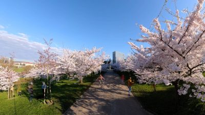 As lietuva vaizdai 9 scaled(1)